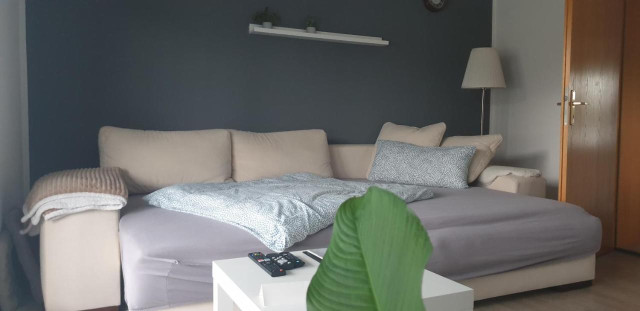 Boardingappartement Windeckblick, Ruhige, Zentrale Lage Mit Grossem Suedbalkon بوهل المظهر الخارجي الصورة